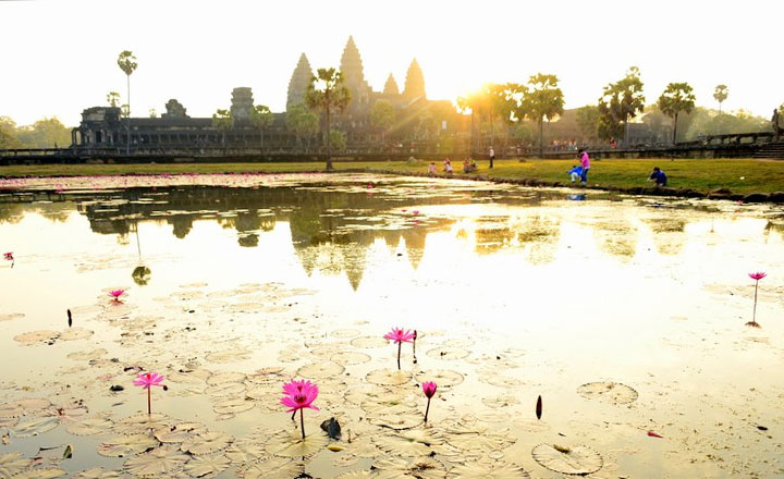Angkor Discovery